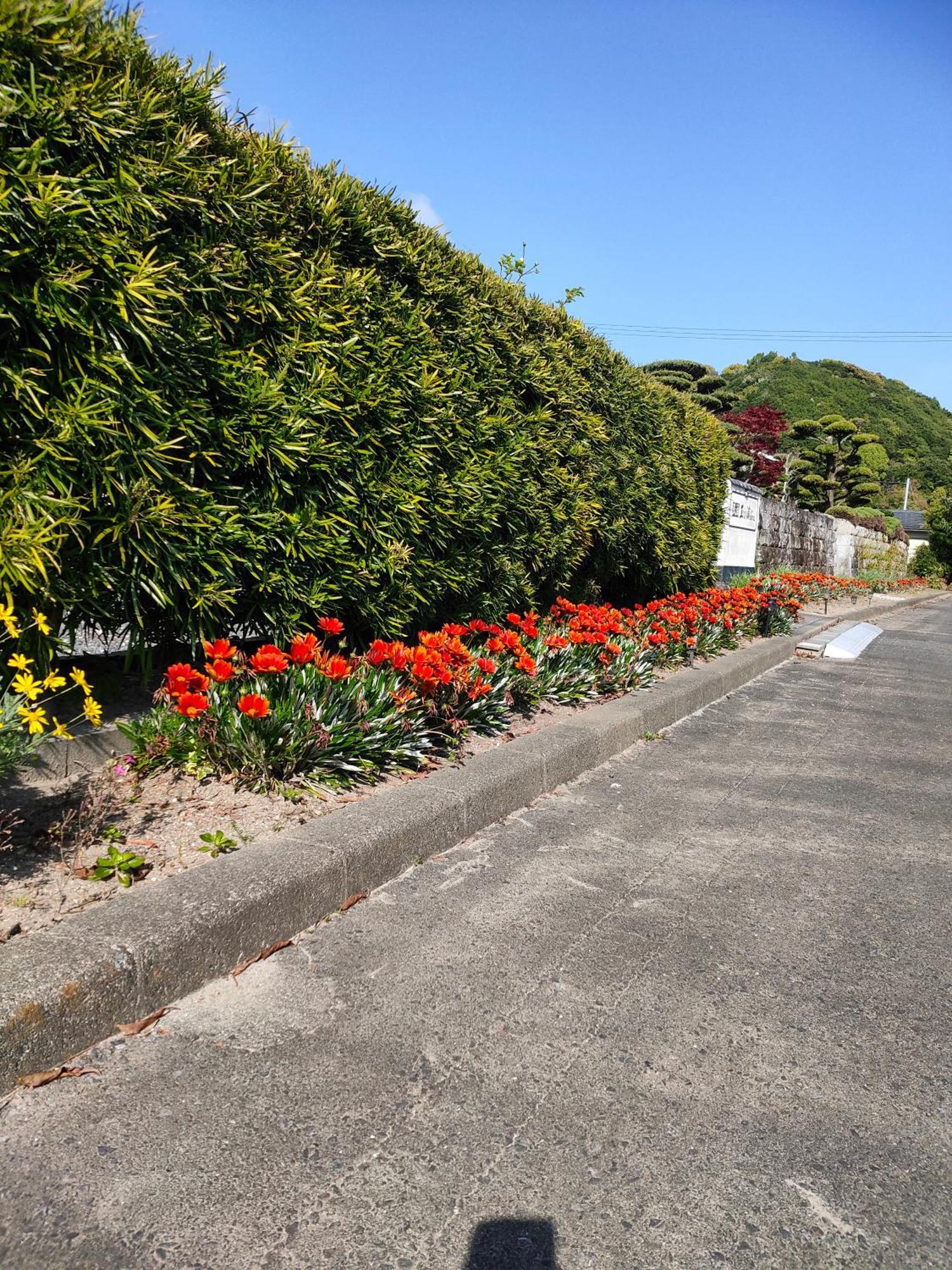 玉の浦sea Guest House Nachikatsuura Luaran gambar